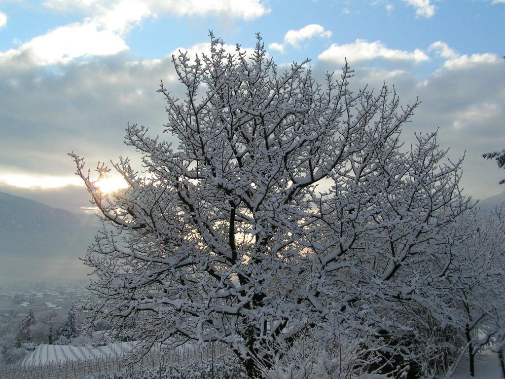 Unterbrunnerhof Leilighet Lana Rom bilde