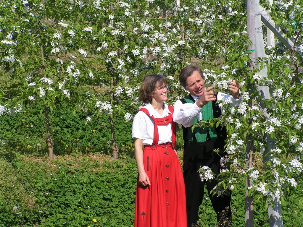 Unterbrunnerhof Leilighet Lana Rom bilde